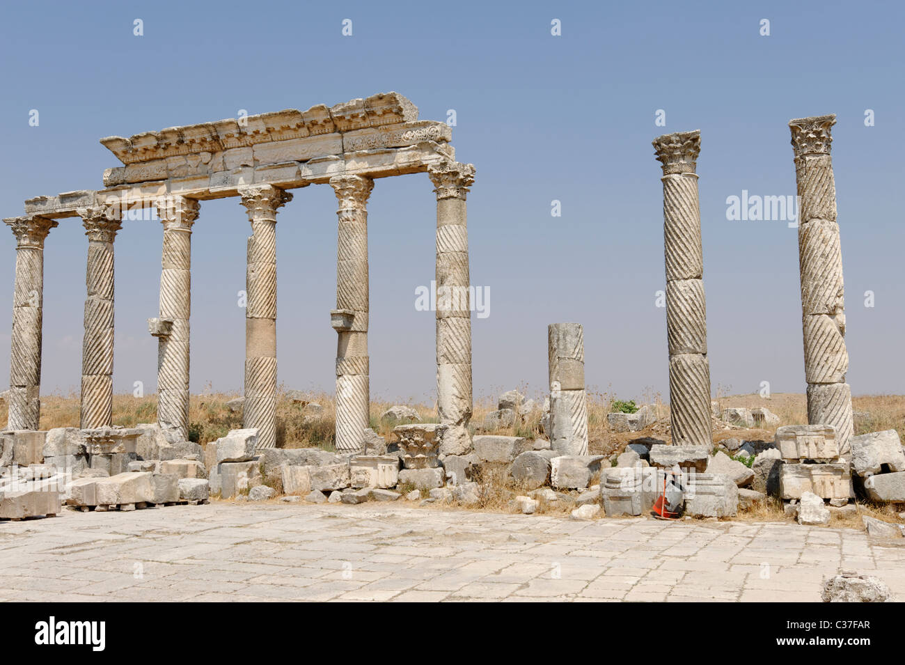 View of Columns along the Colonnaded Street marked with a deep twisting corkscrew fluting, unique to the ancient city of Apamea. Stock Photo