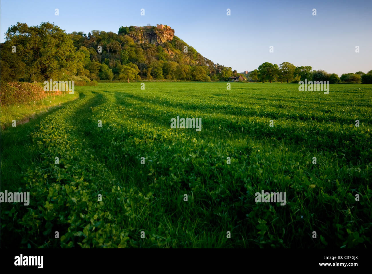 Evening view of Beeston Castle Cheshire England Stock Photo Alamy