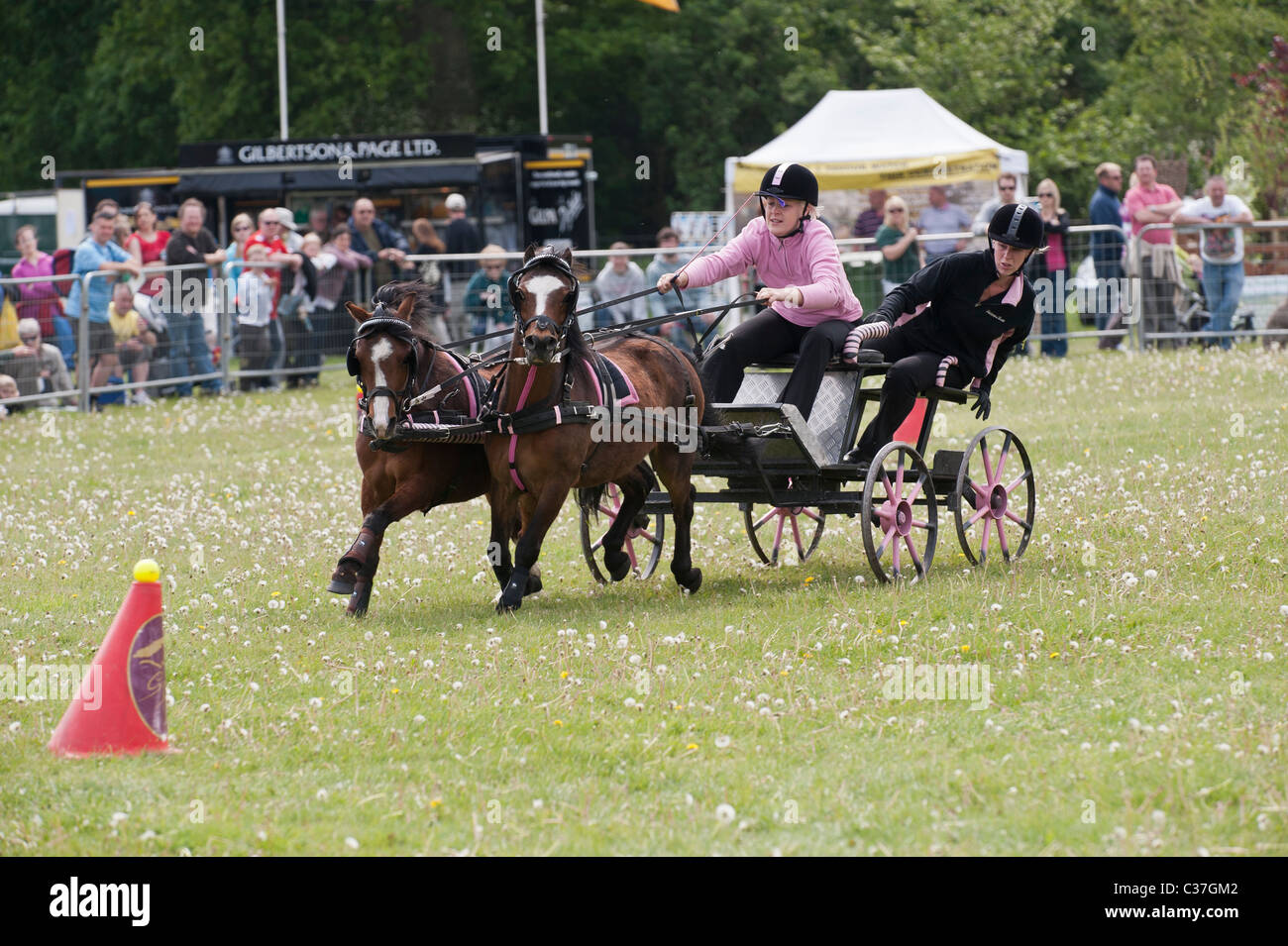 Scurry Racing Romsey county show hi-res stock photography and images - Alamy