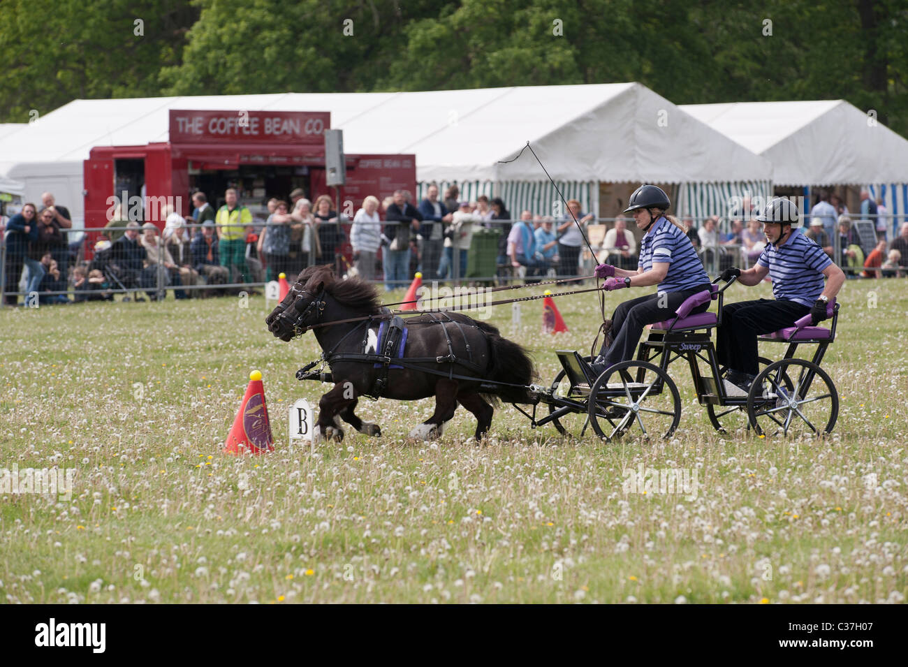 Scurry Racing Shetland racing hi-res stock photography and images - Alamy