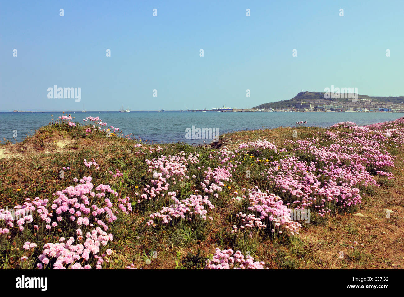 Chesil beach Weymouth Dorset England UK Stock Photo Alamy