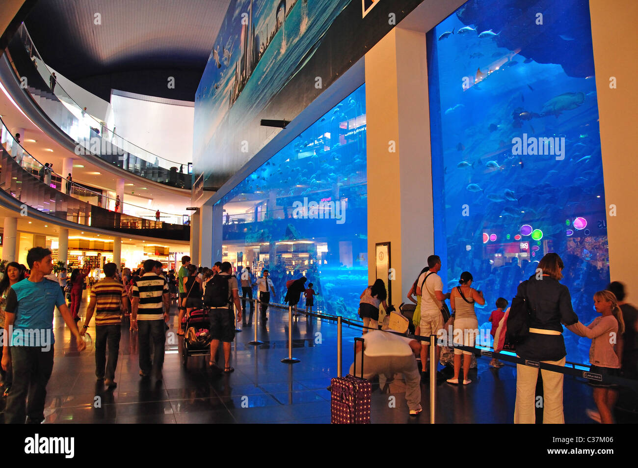 Dubai Aquarium & Underwater Zoo, The Dubai Mall, Downtown Dubai