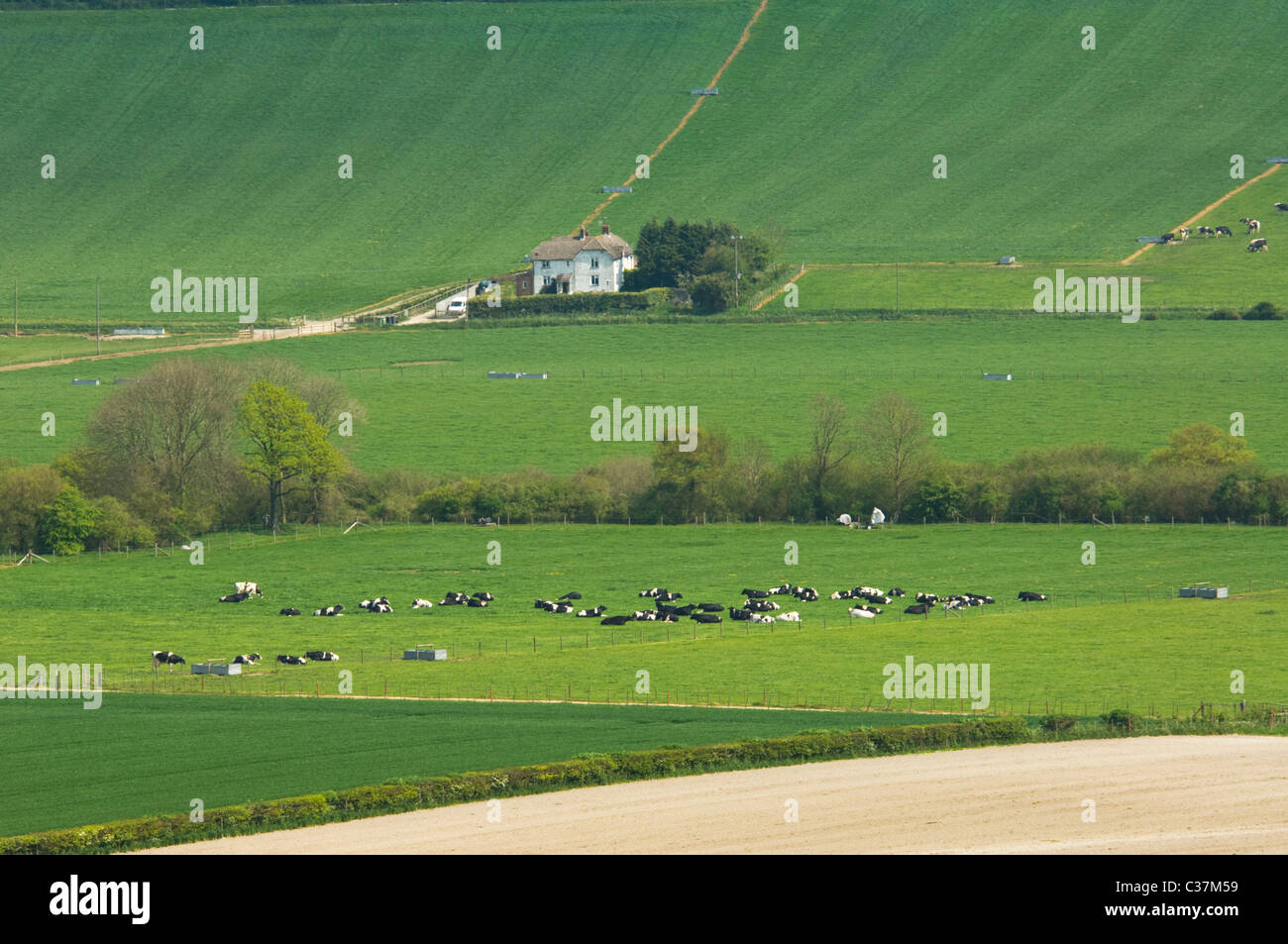 View over farmland in picturesque rolling countryside, Meon Valley, Hampshire, UK Stock Photo