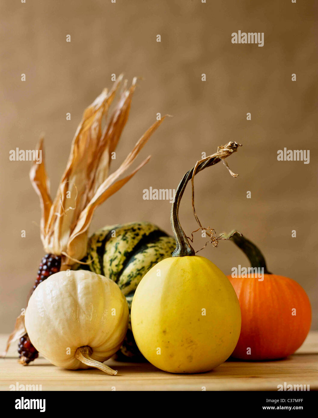 Pumpkins, squash and Indian Corn Stock Photo - Alamy