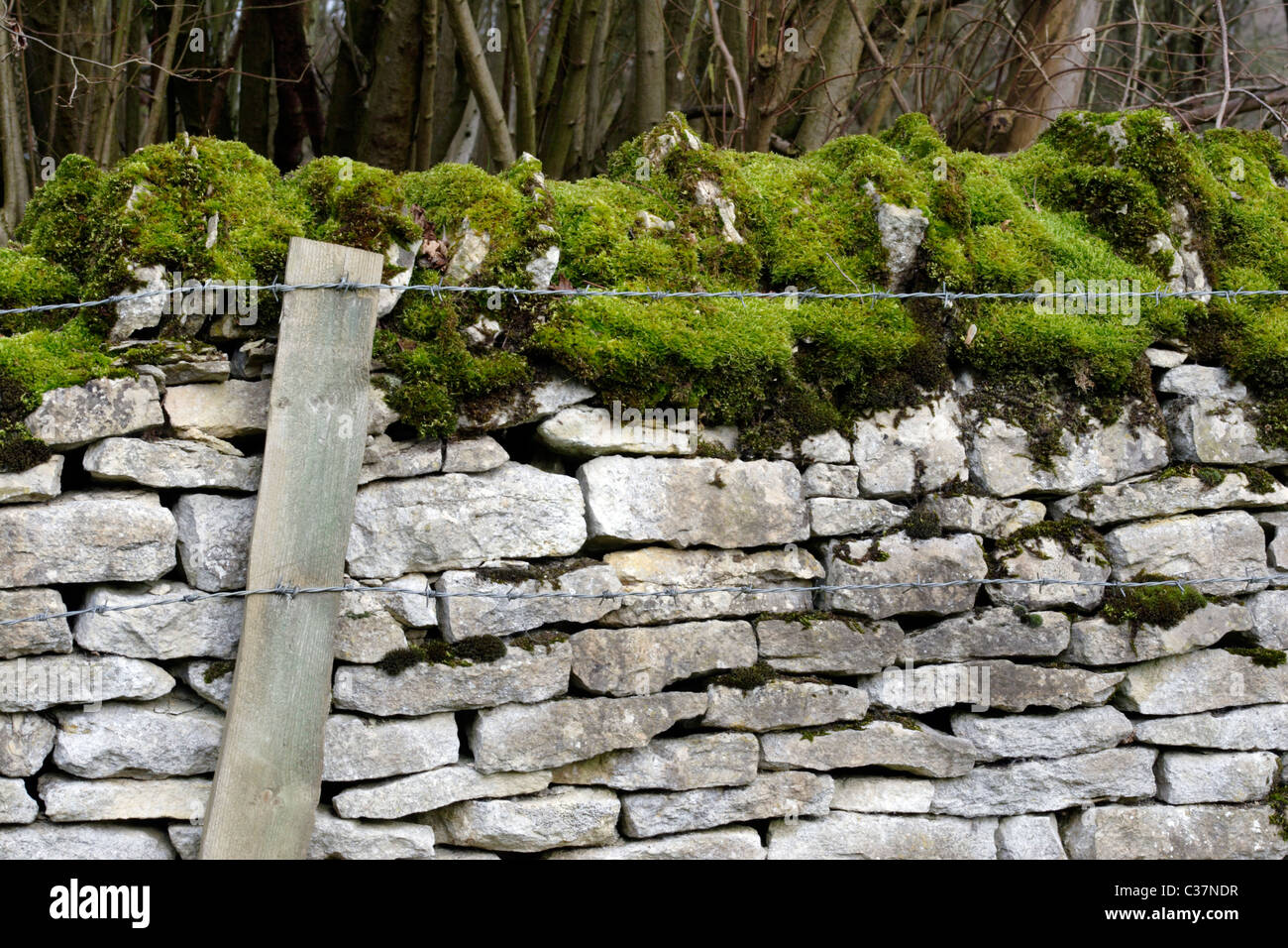 Barbed wire fence with dry stone wall, England, UK Stock Photo