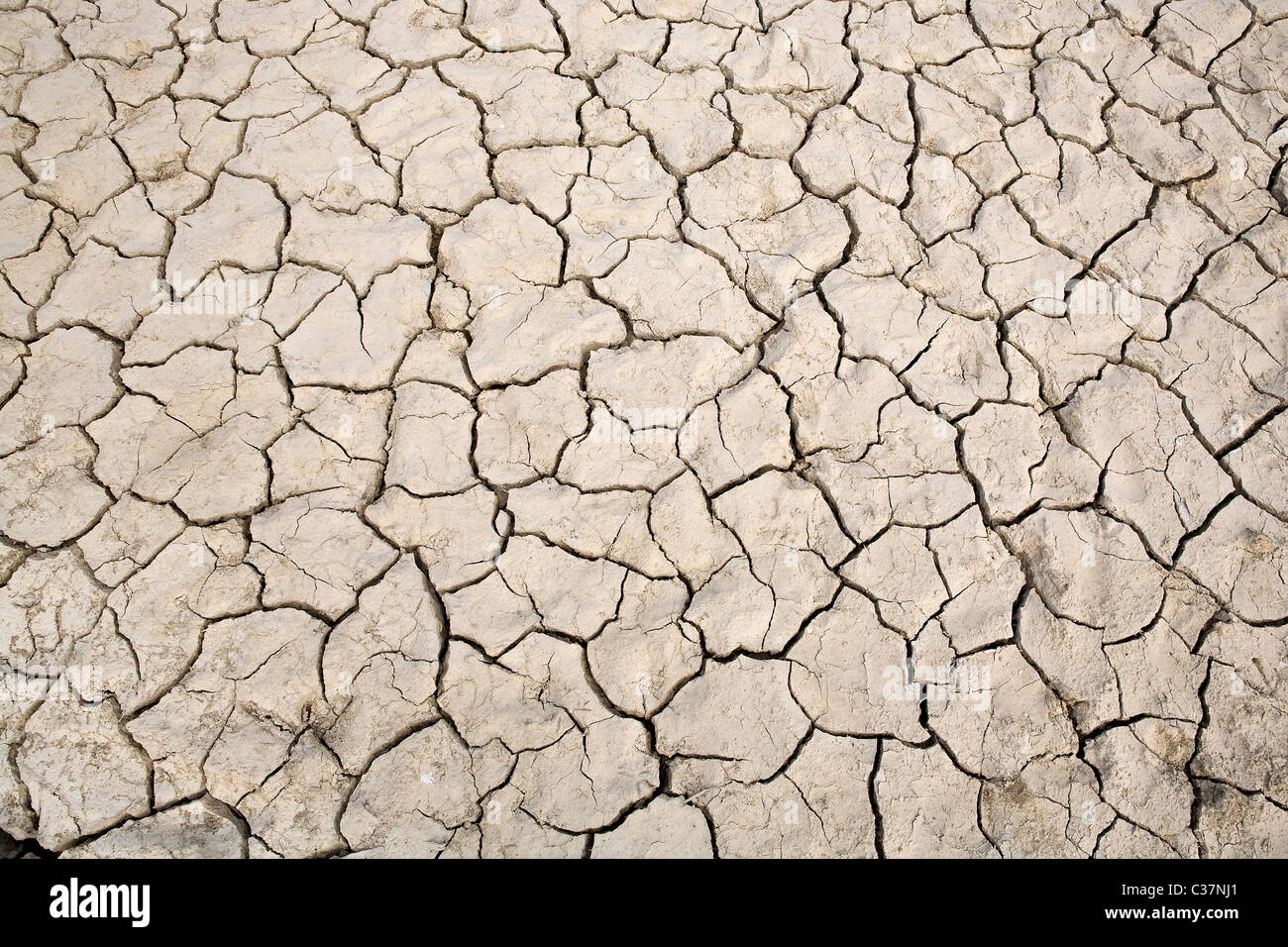 Dry soil in a local village in the Sunderbans Tiger Reserve. West Bengal, India. Stock Photo