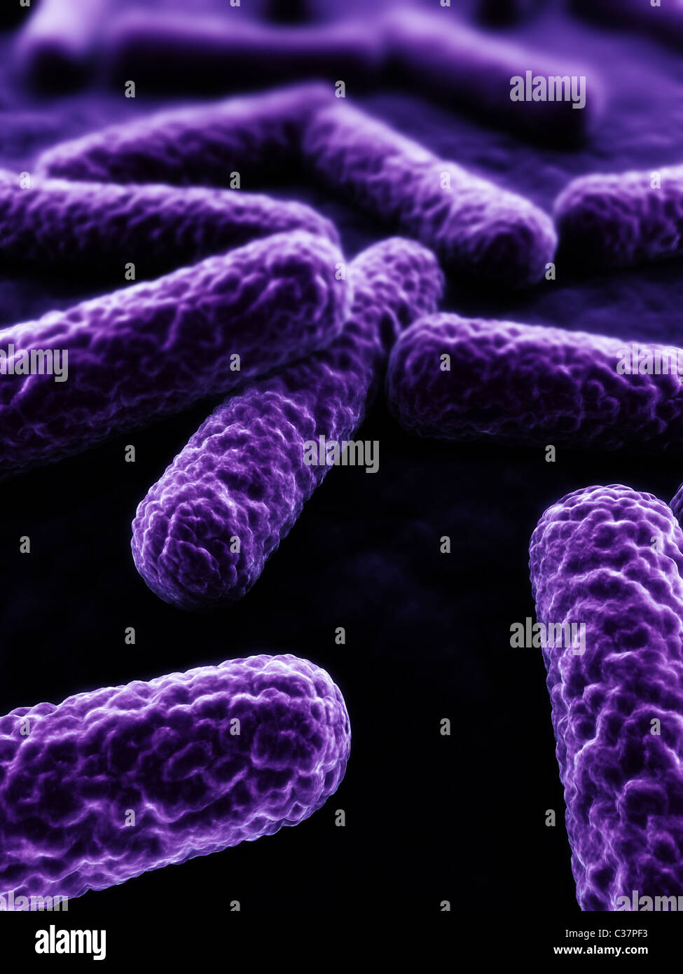 3d bacteria Stock Photo