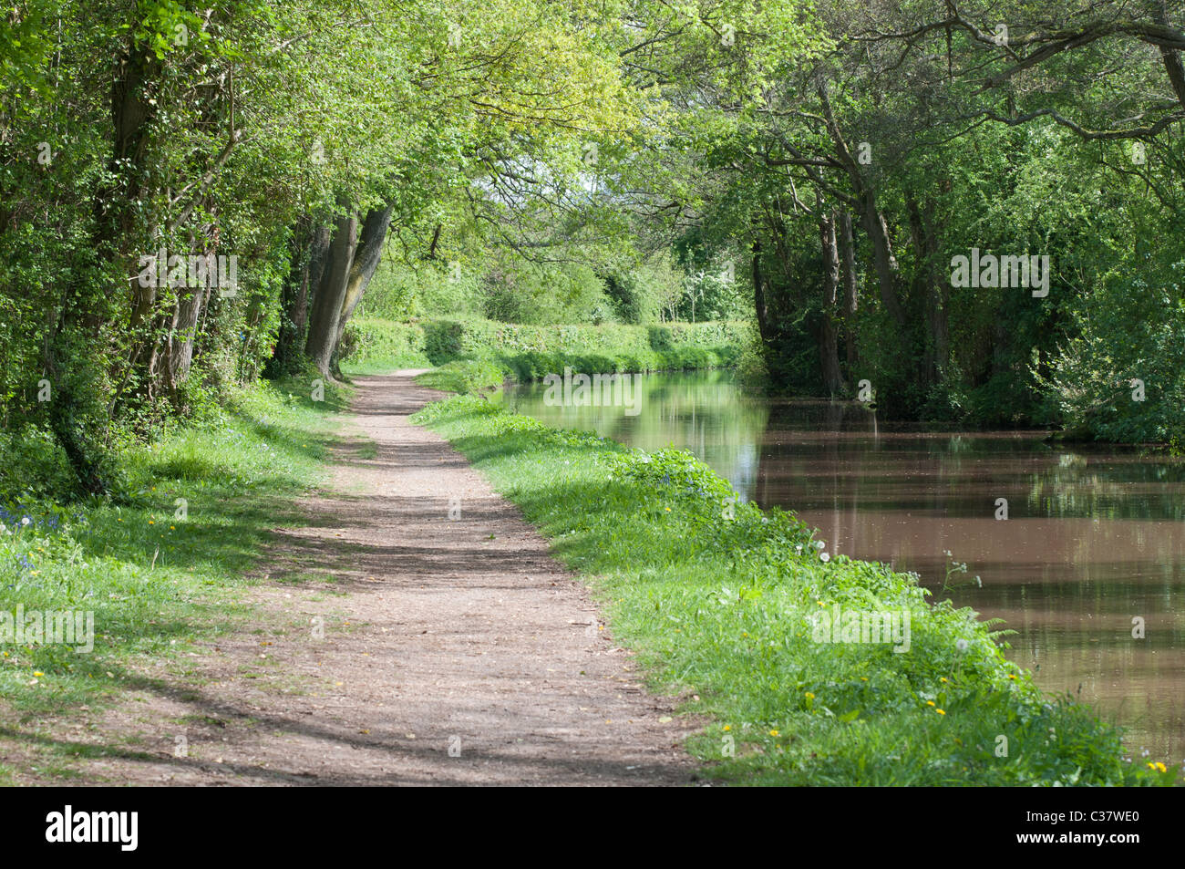 Towpath Monmouthshire and Brecon canal near Llangynidr, Gwent, Stock Photo