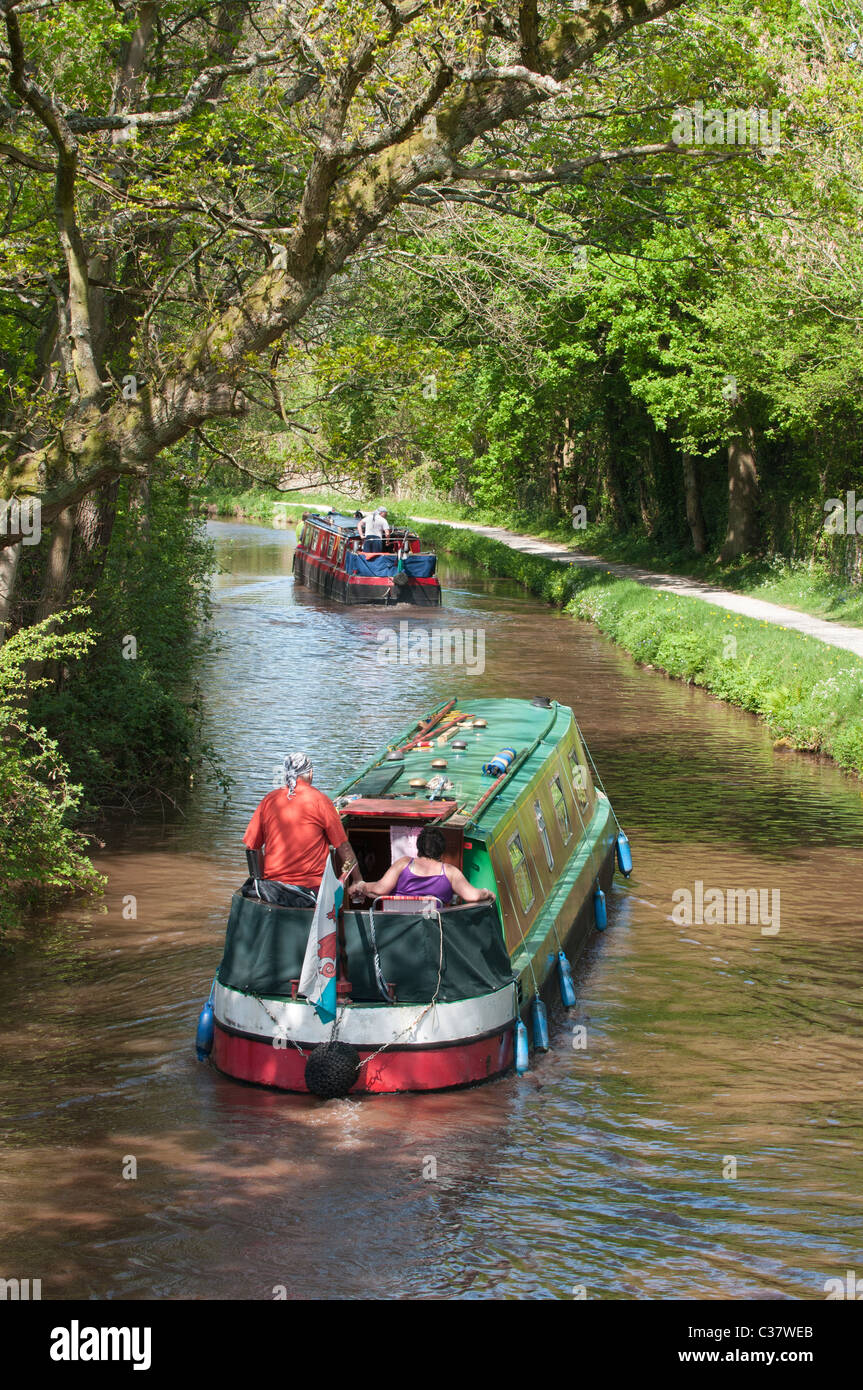 Two narrowboats cruising on the Monmouthshire and Brecon canal near Llangynidr, Gwent Stock Photo