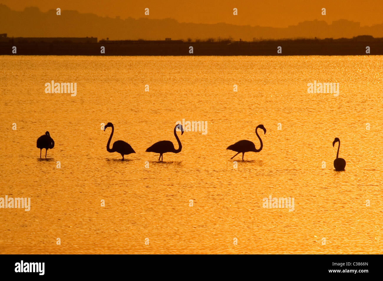 Capoterra hi-res stock photography and images - Alamy