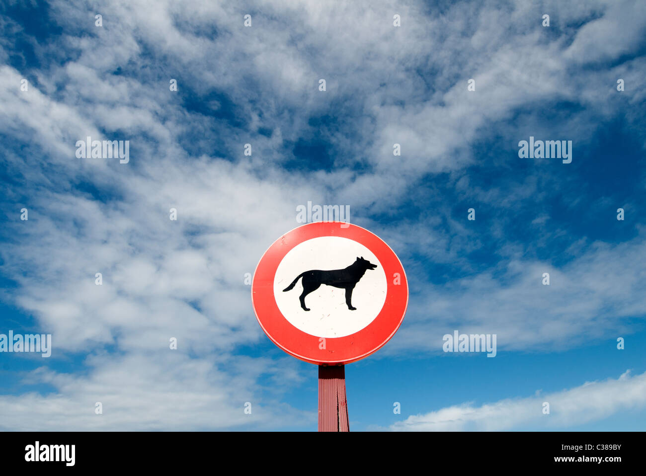 dog warning sign against blue sky Stock Photo