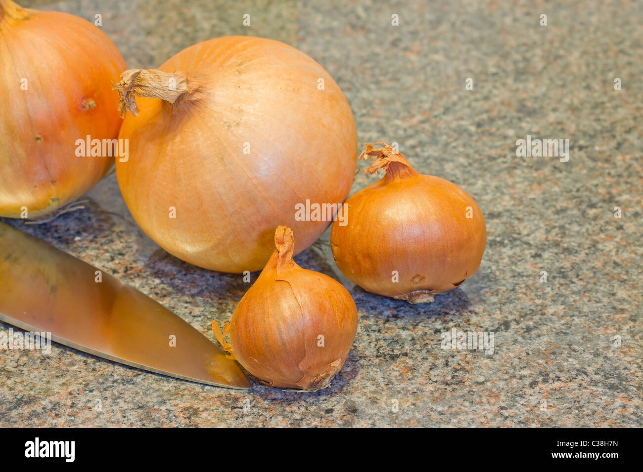Onions on worktop Stock Photo