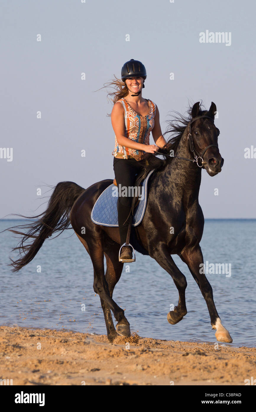 woman riding on Arabian horse Stock Photo Alamy