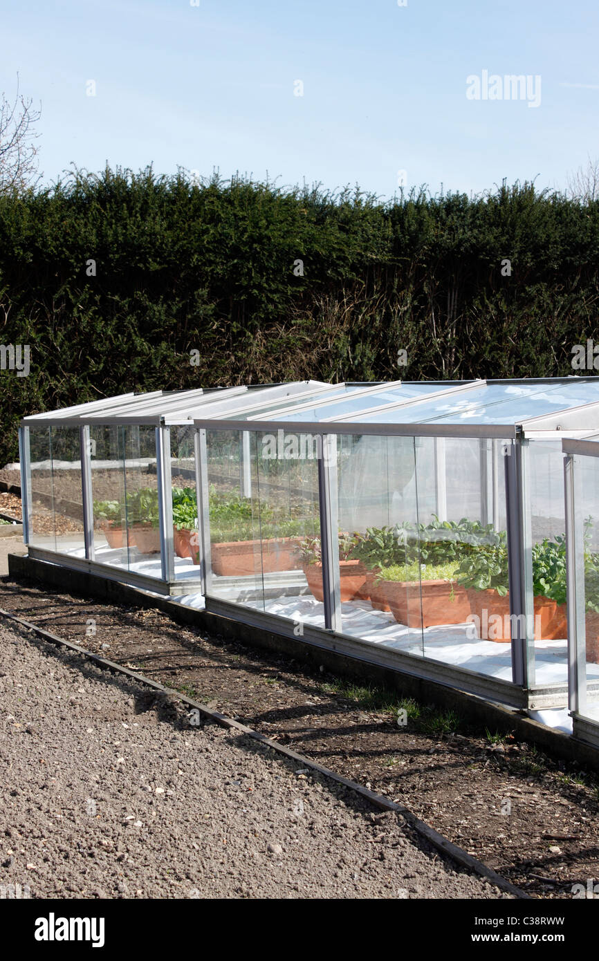 GLASS COLD FRAME WITH SALAD CROPS GROWING INSIDE. Stock Photo