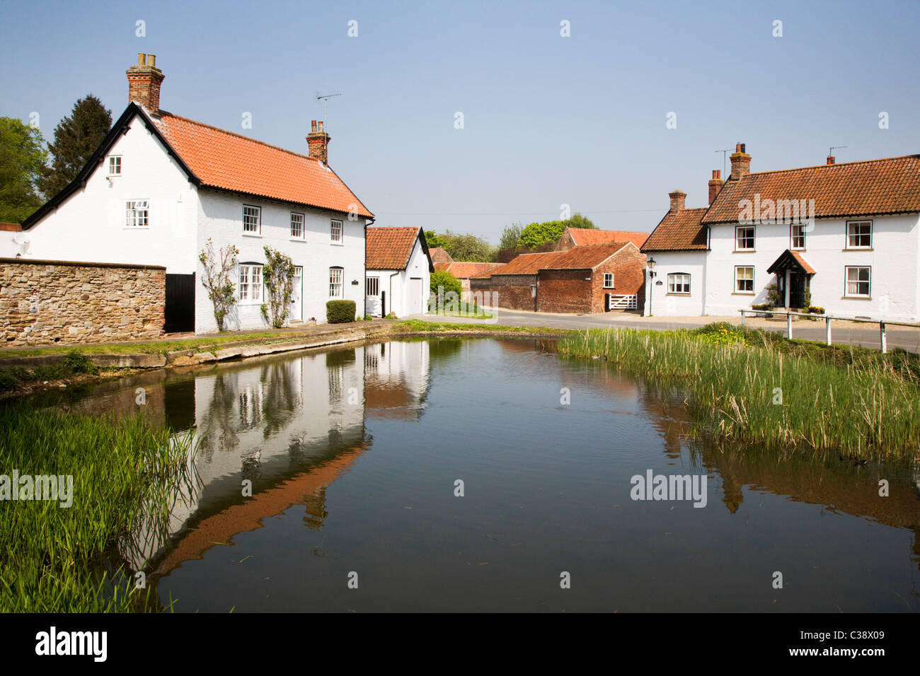 Houses and Duck Pond Bishop Burton East Riding of Yorkshire England Stock Photo