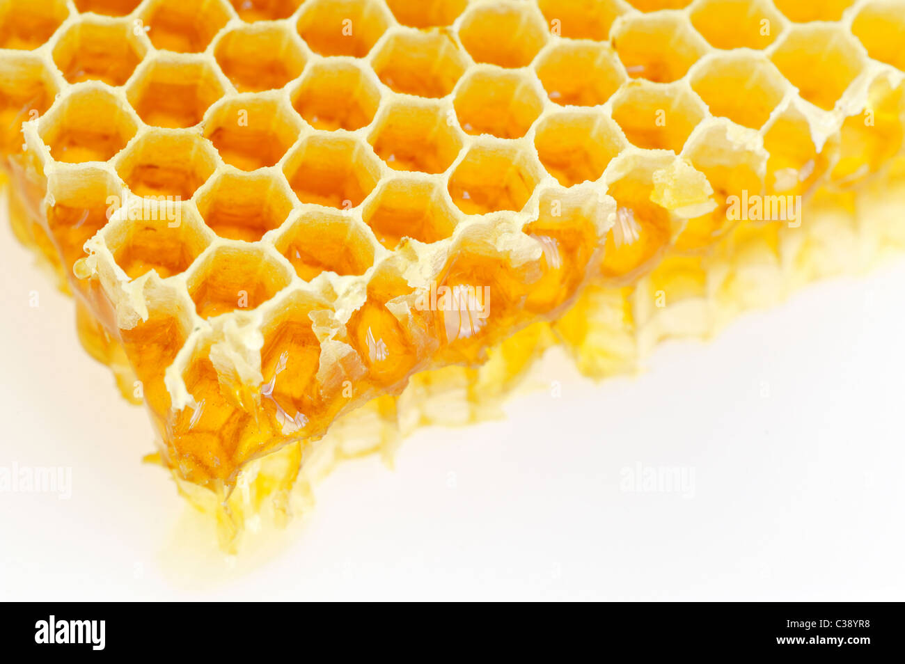 Honeycomb isolated on white Stock Photo