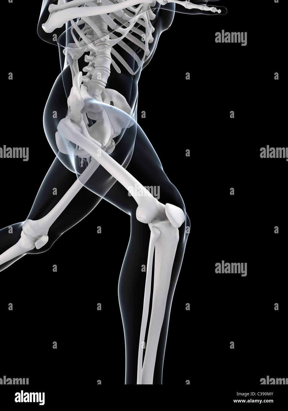 running skeleton Stock Photo