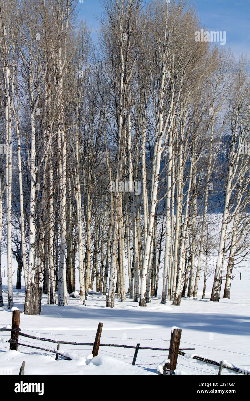 Winter scene in Round Valley, Valley County, Idaho, USA. Stock Photo