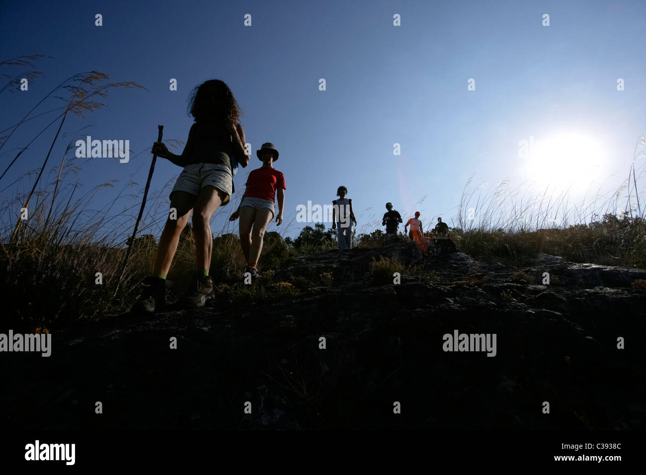 Backlit shot of hiking group walking down hill Stock Photo