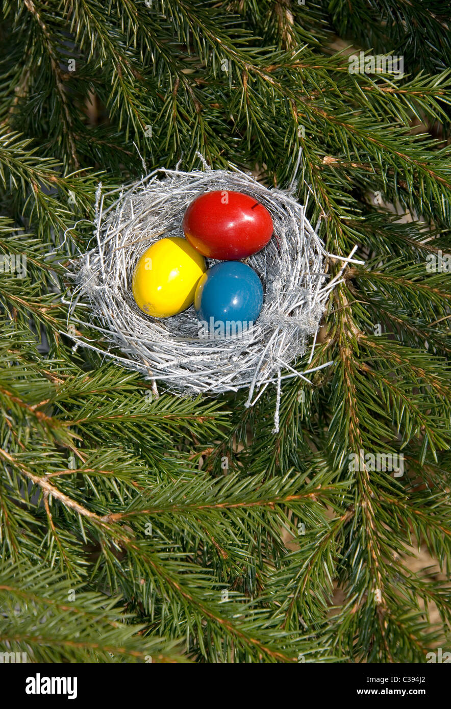 Silver Easter bird's nest with painted eggs in it on fir branches Stock ...