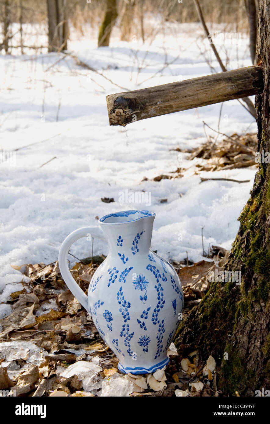 Birch sap drops in white ornamental ceramic pitcher Stock Photo