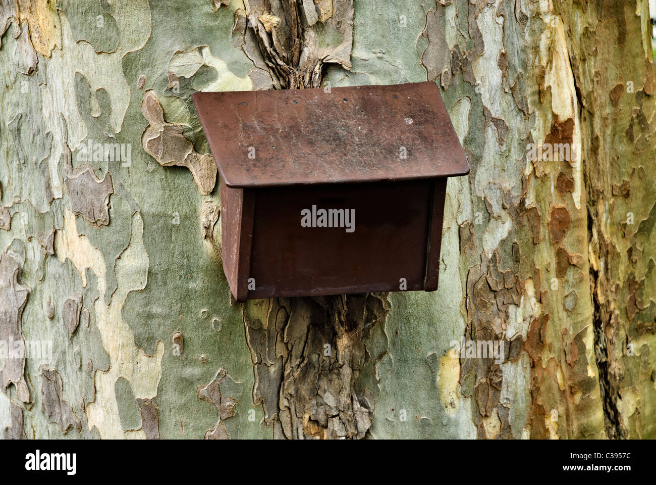 Rusty metal box hanging plane tree rust metal box hi-res stock ...