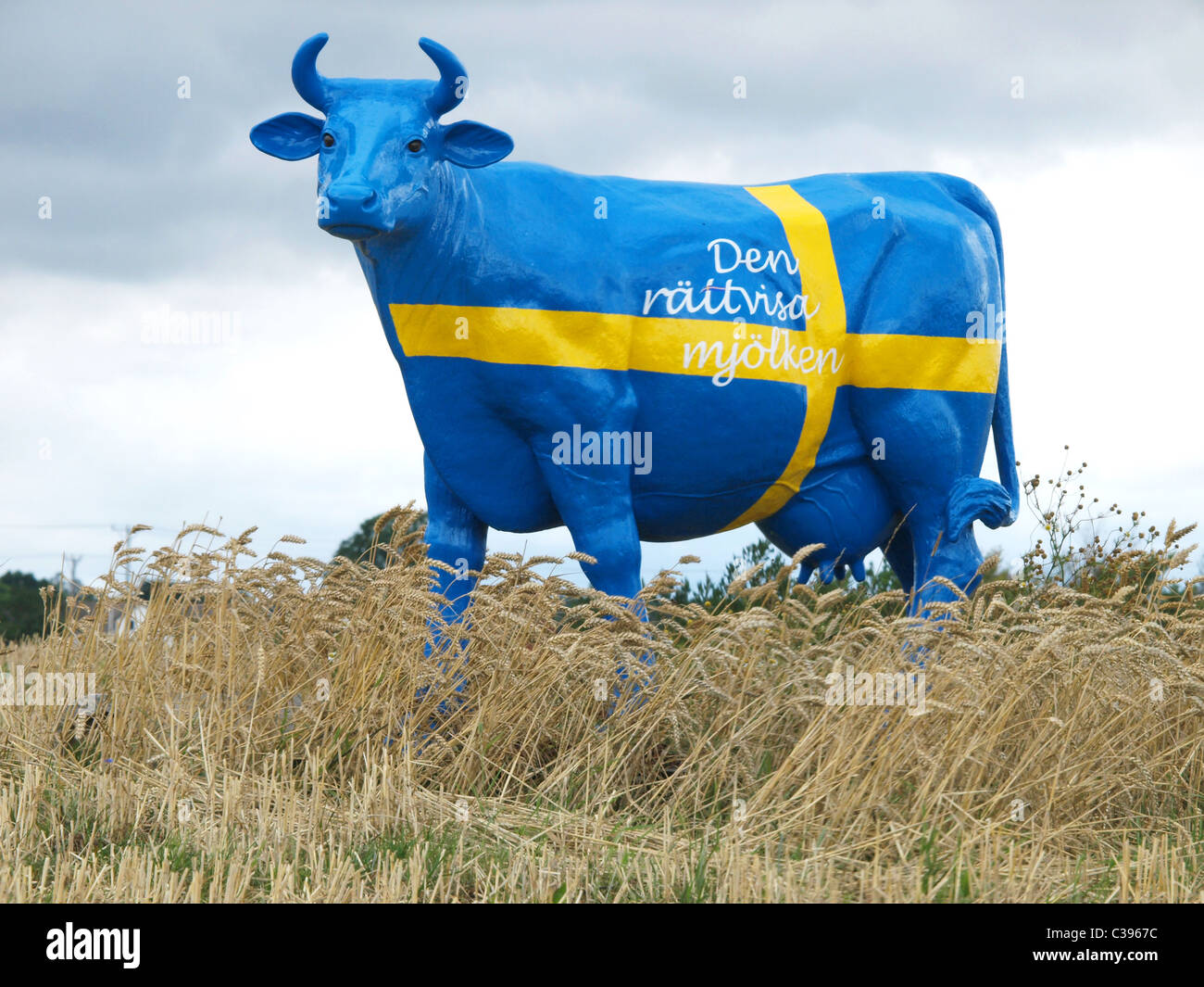 Figure of a cow in national colours of Sweden, Scania, Sweden Stock Photo