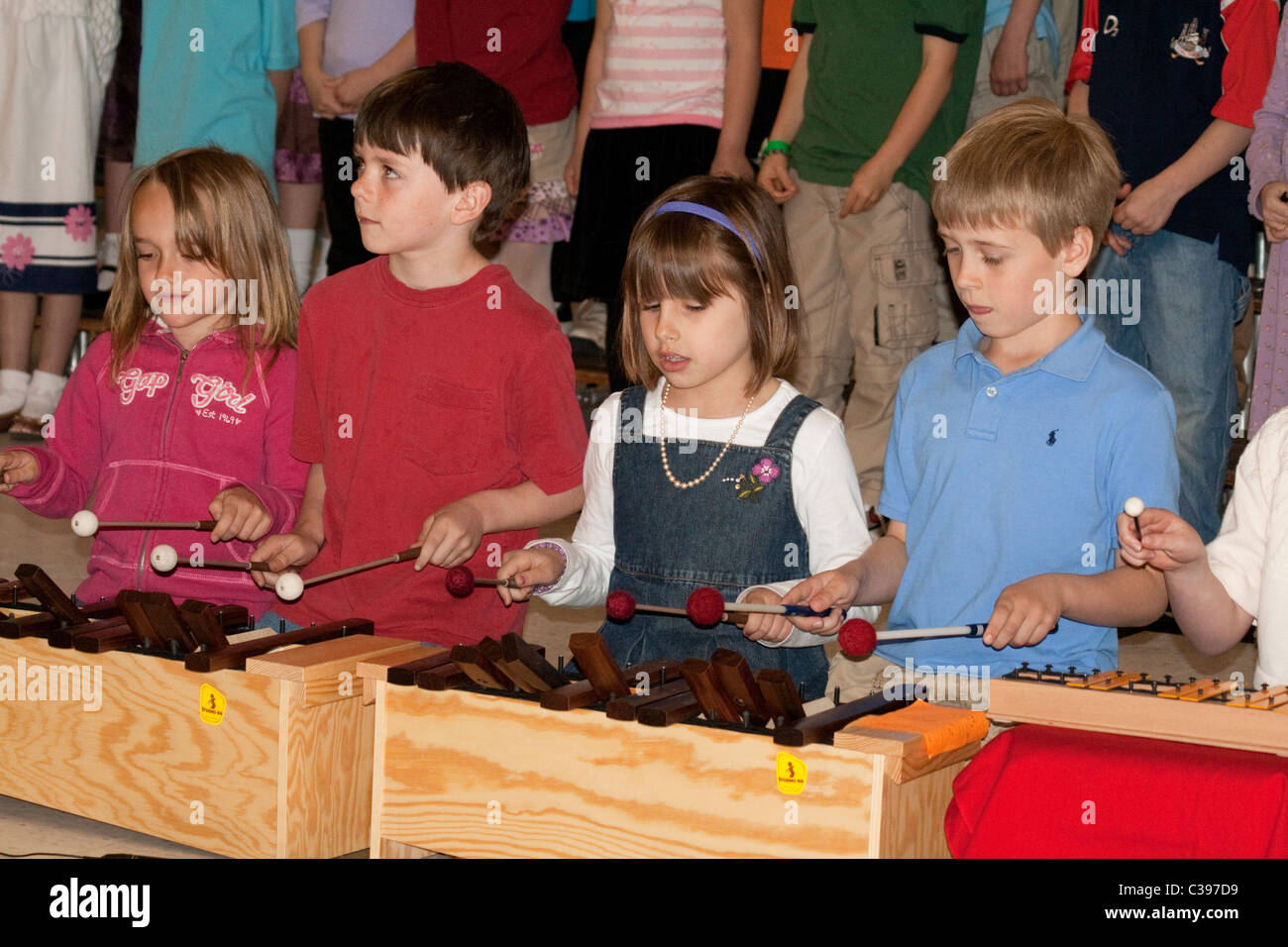 Elementary school children playing marimbas for a music program. St Paul Minnesota MN USA Stock
