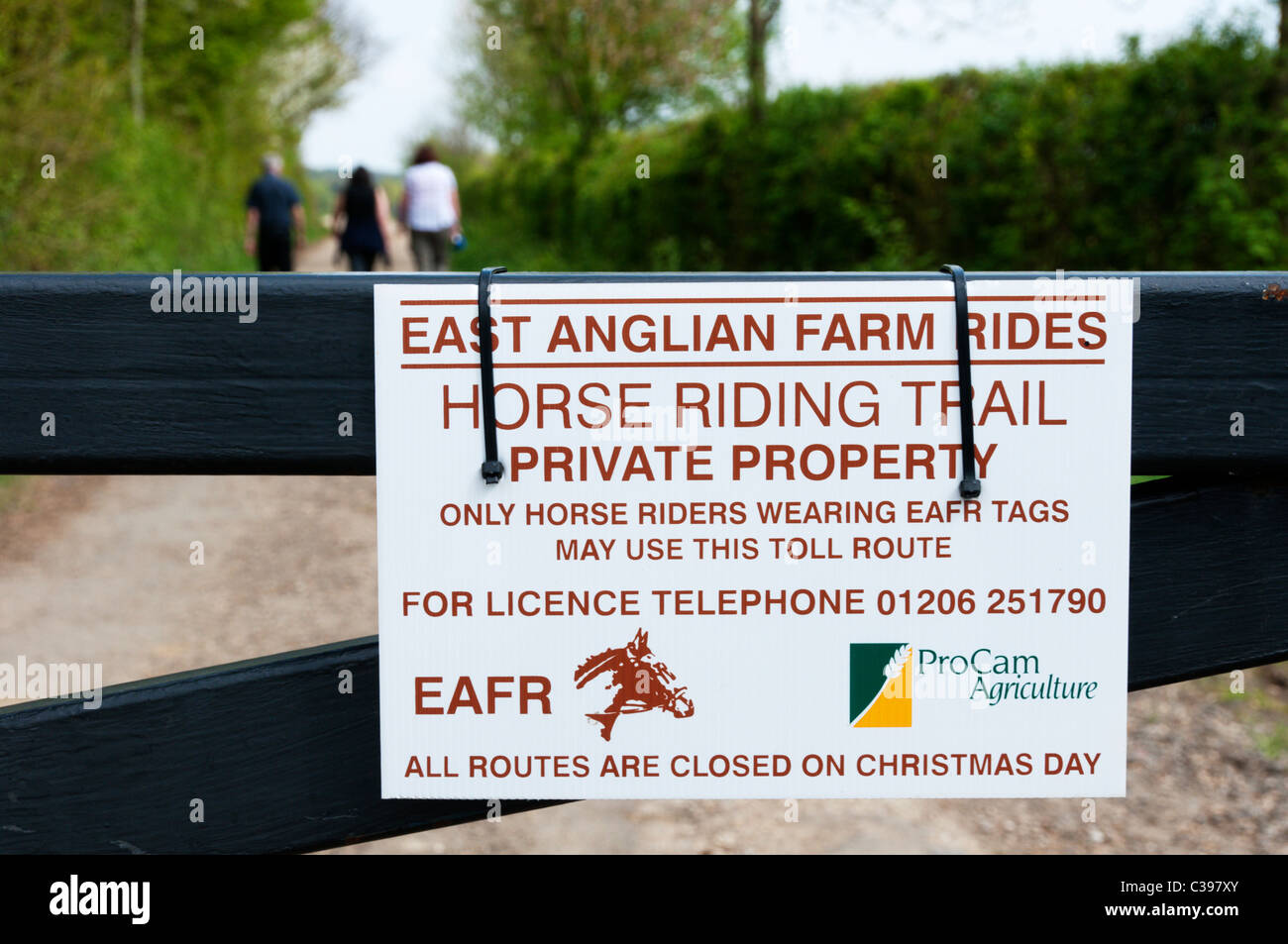 A toll route across Essex farmland to the north of Braintree only open to horse-riders wearing tags. Stock Photo