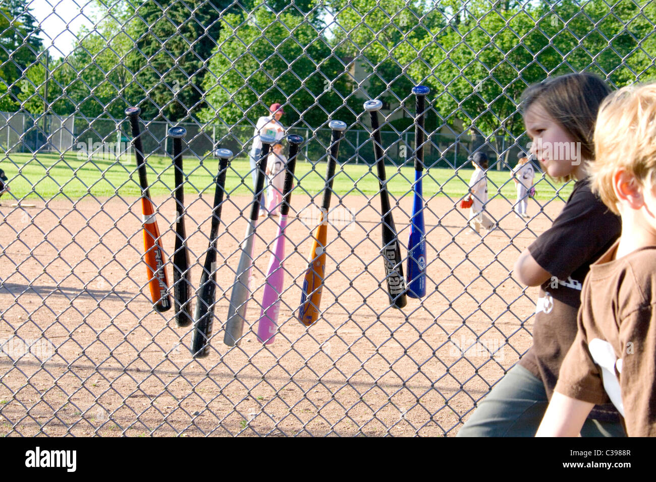 Baseball bats are lined up hanging on the fence. St Paul Minnesota MN USA Stock Photo