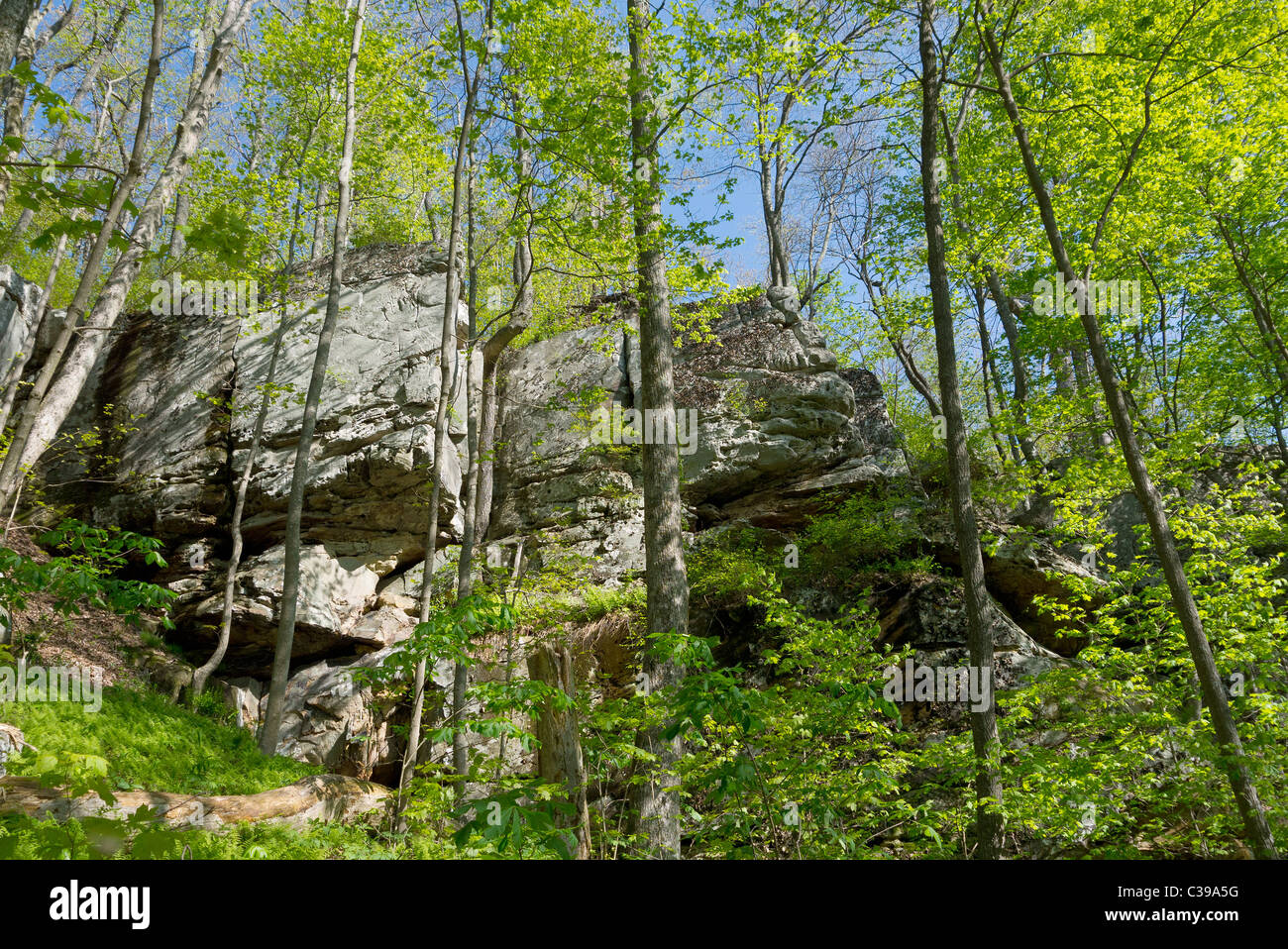 Rock formations at Frozen Head State Park on the Cumberland Trail Stock Photo Alamy