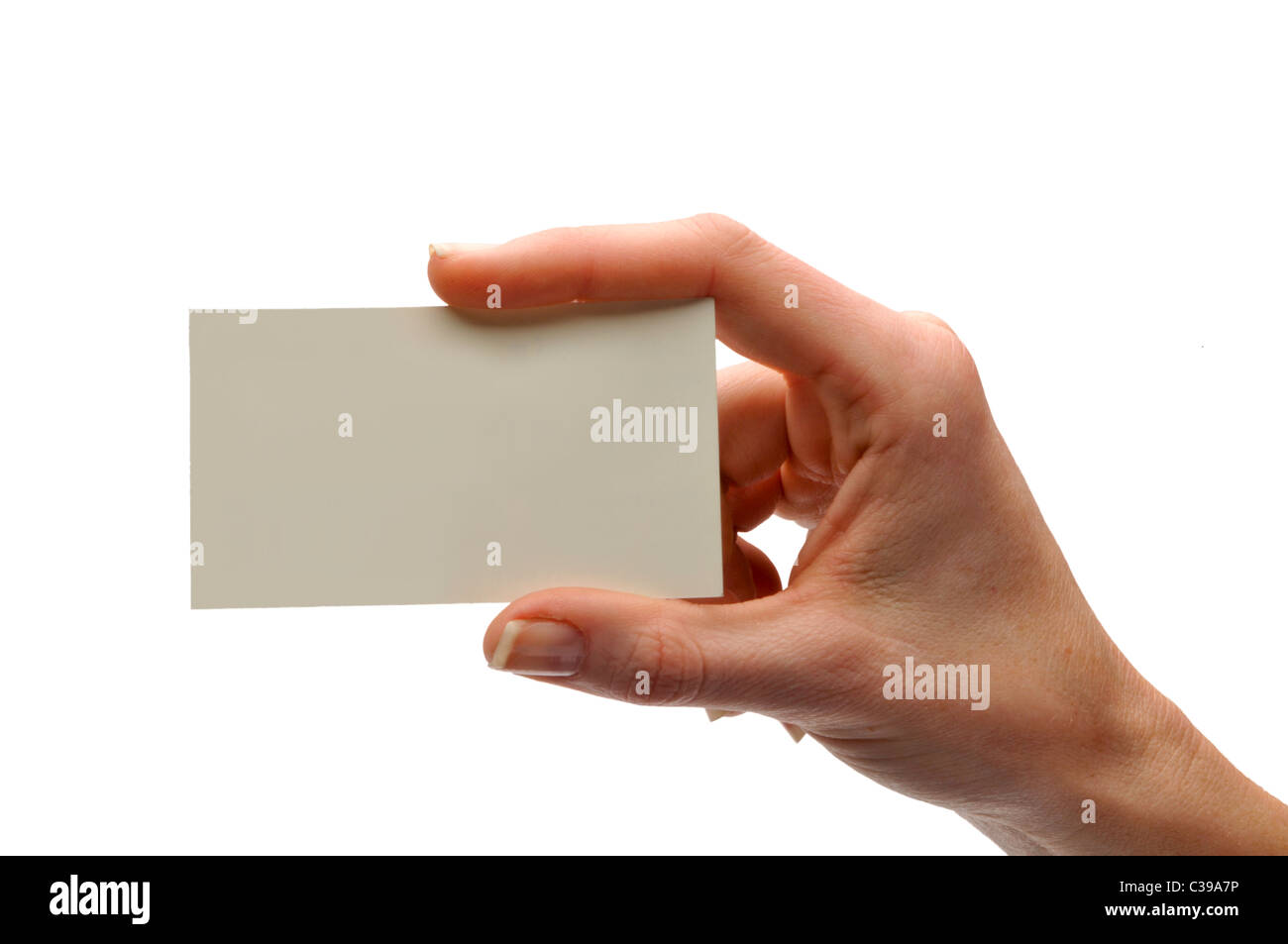 hand holding small blank business calling card Stock Photo