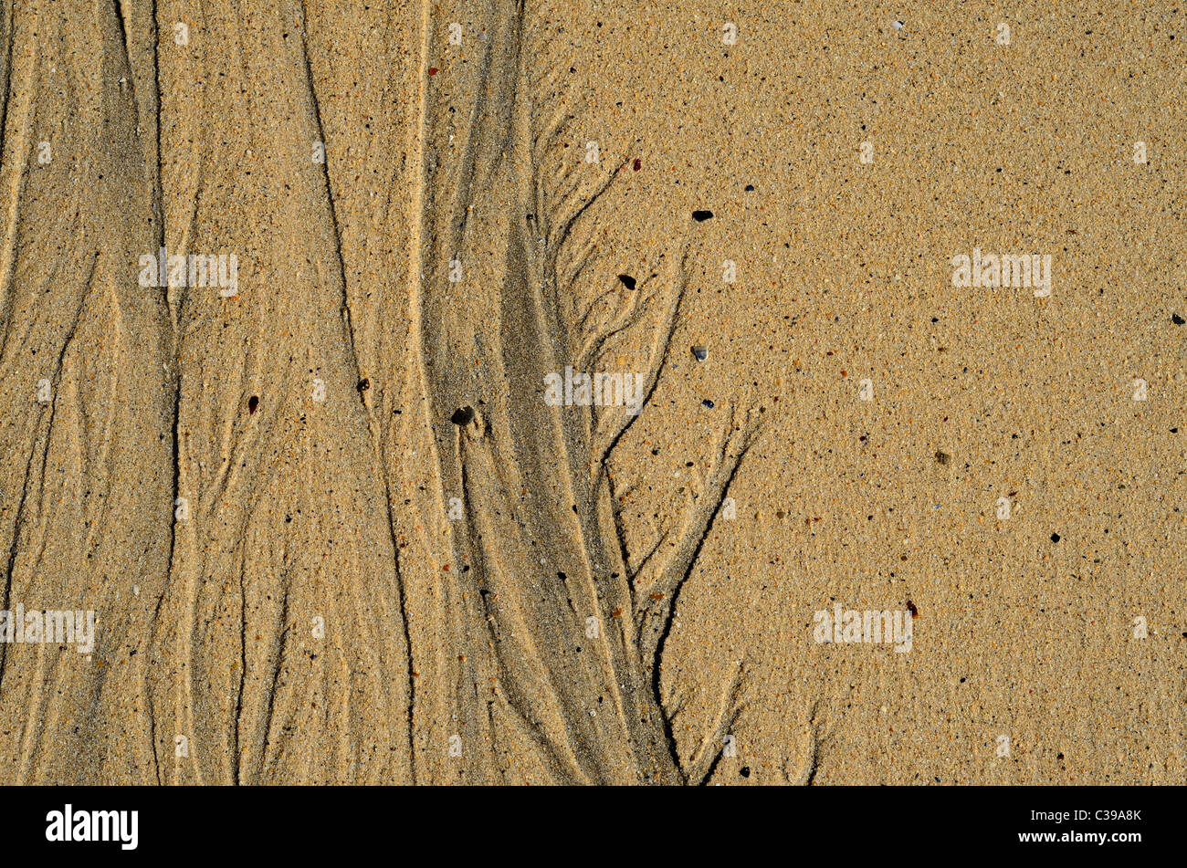 patterns in the sand caused by water run off as the tide retreats Stock Photo