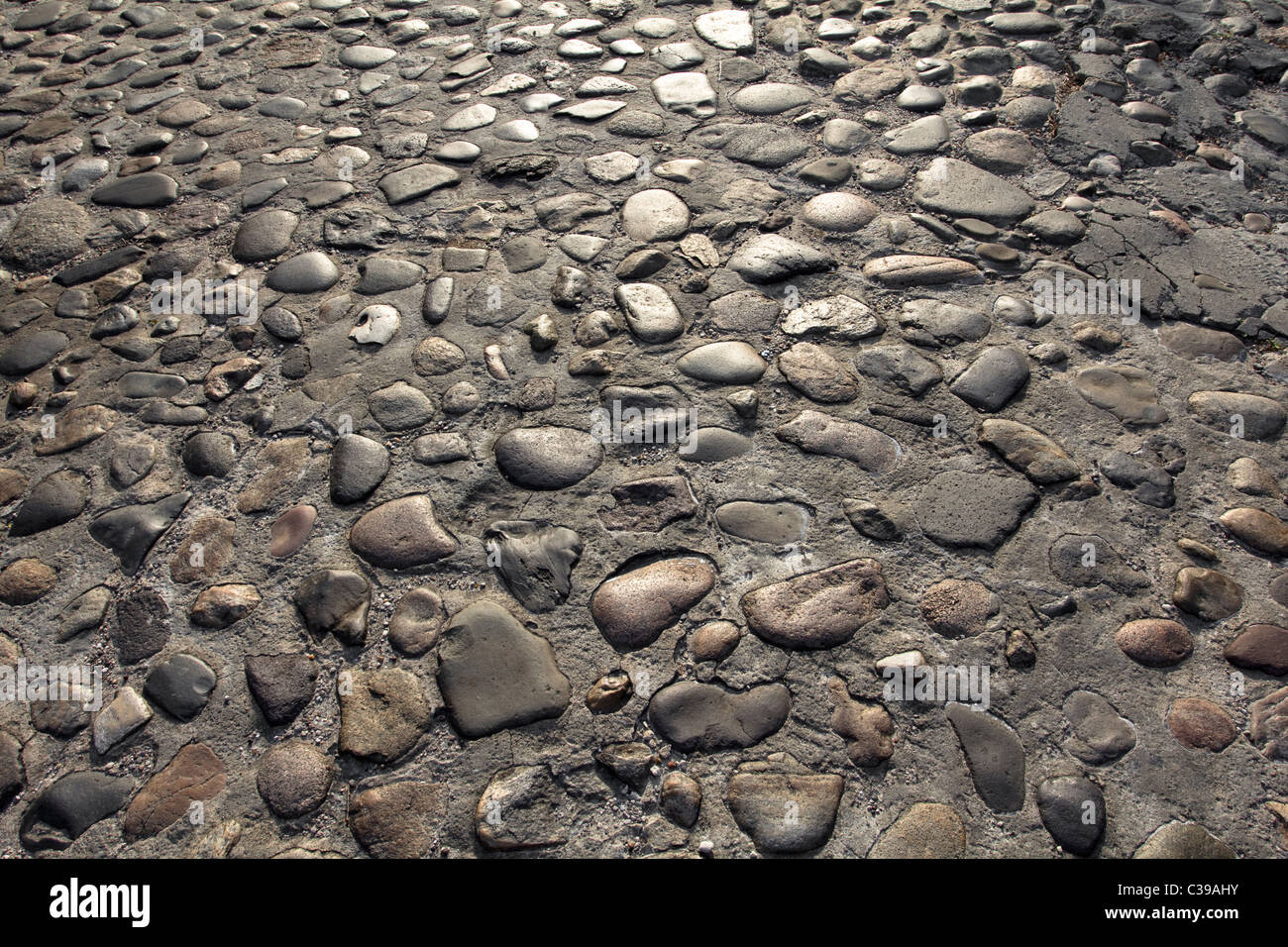 cobblestone road in historic Charleston South Carolina Stock Photo