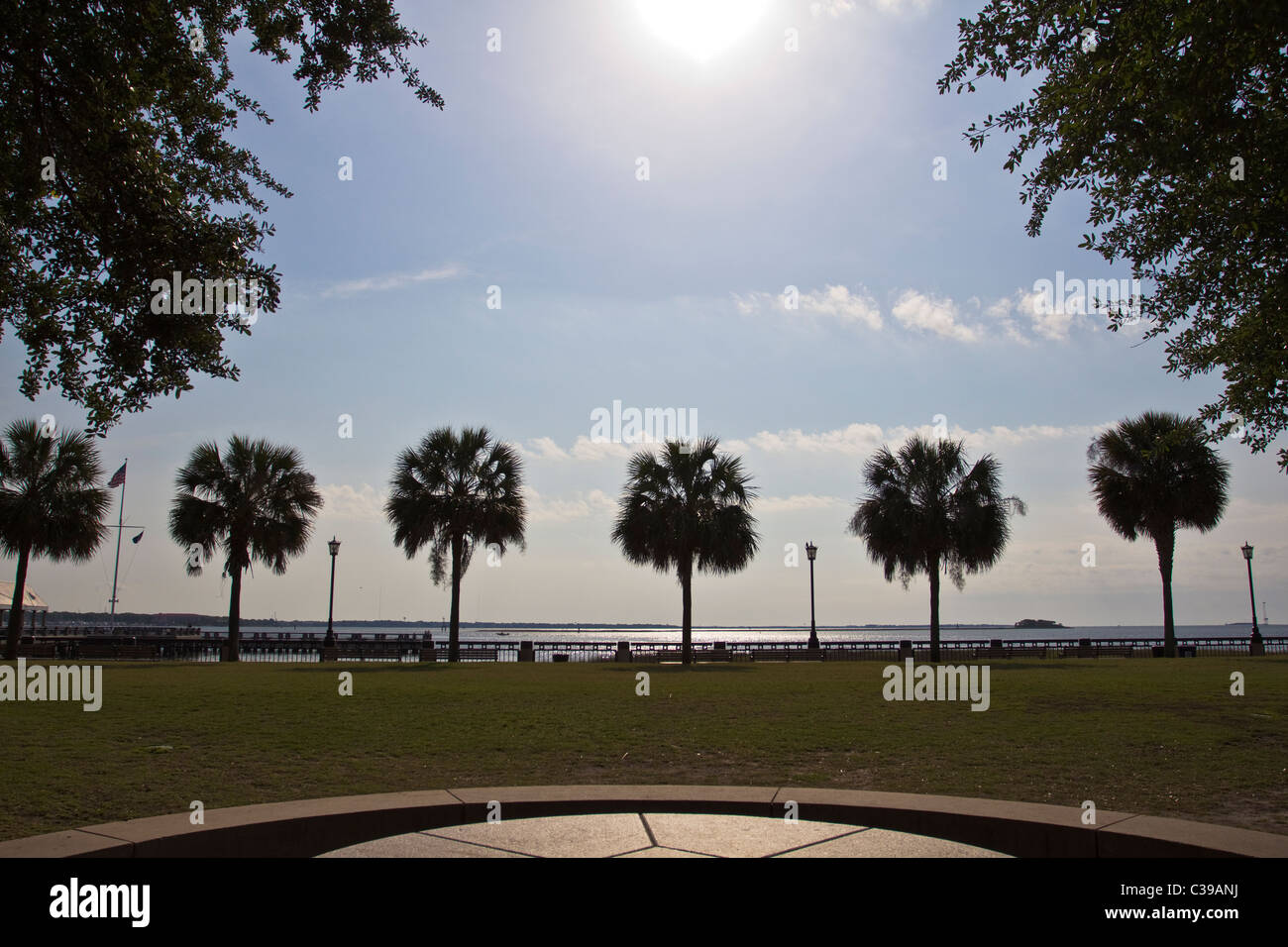 Waterfront Park Charleston South Carolina. Palm trees along waterfront Stock Photo Alamy