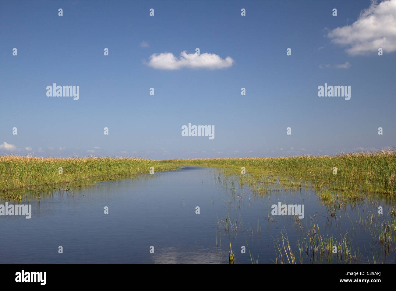 Lake Okeechobee Florida near Belle Glade Stock Photo Alamy