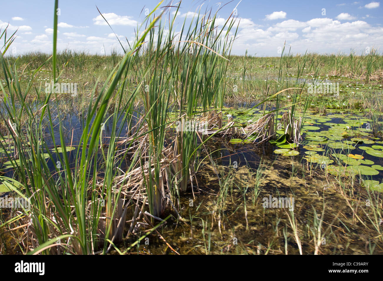 Lily lake area hires stock photography and images Alamy