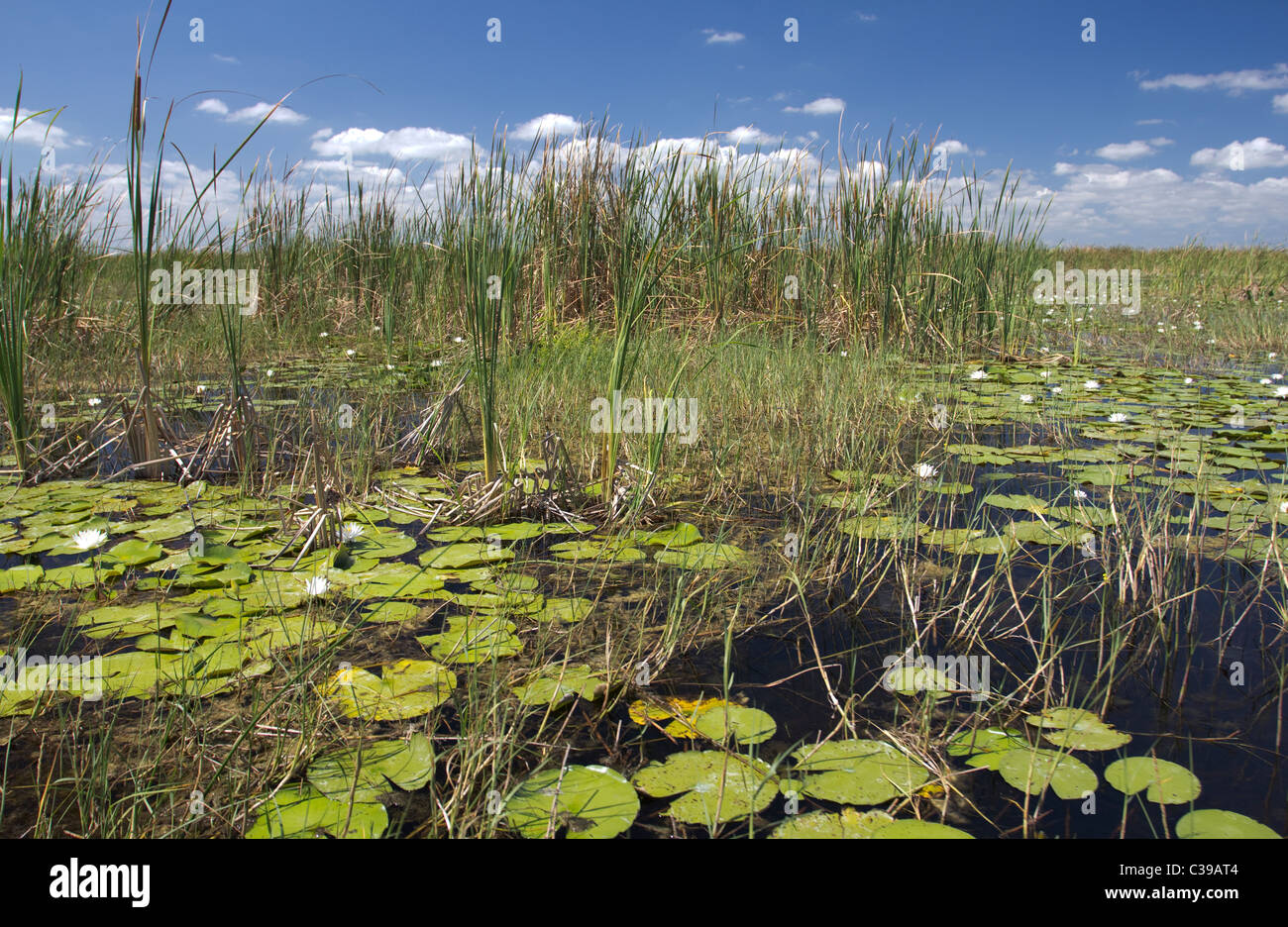 Lily lake area hires stock photography and images Alamy