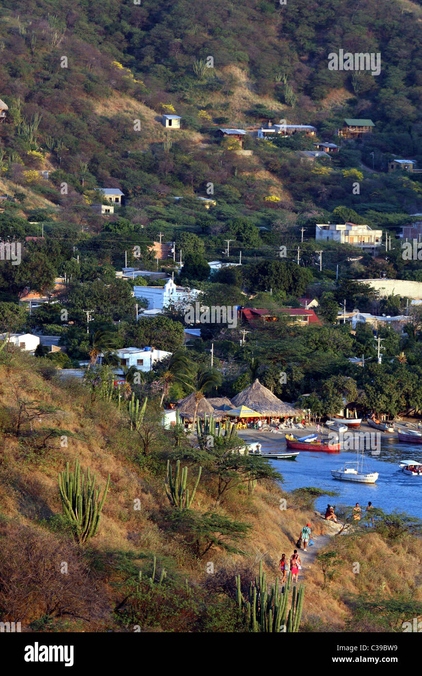 Cactus beach hi-res stock photography and images - Alamy