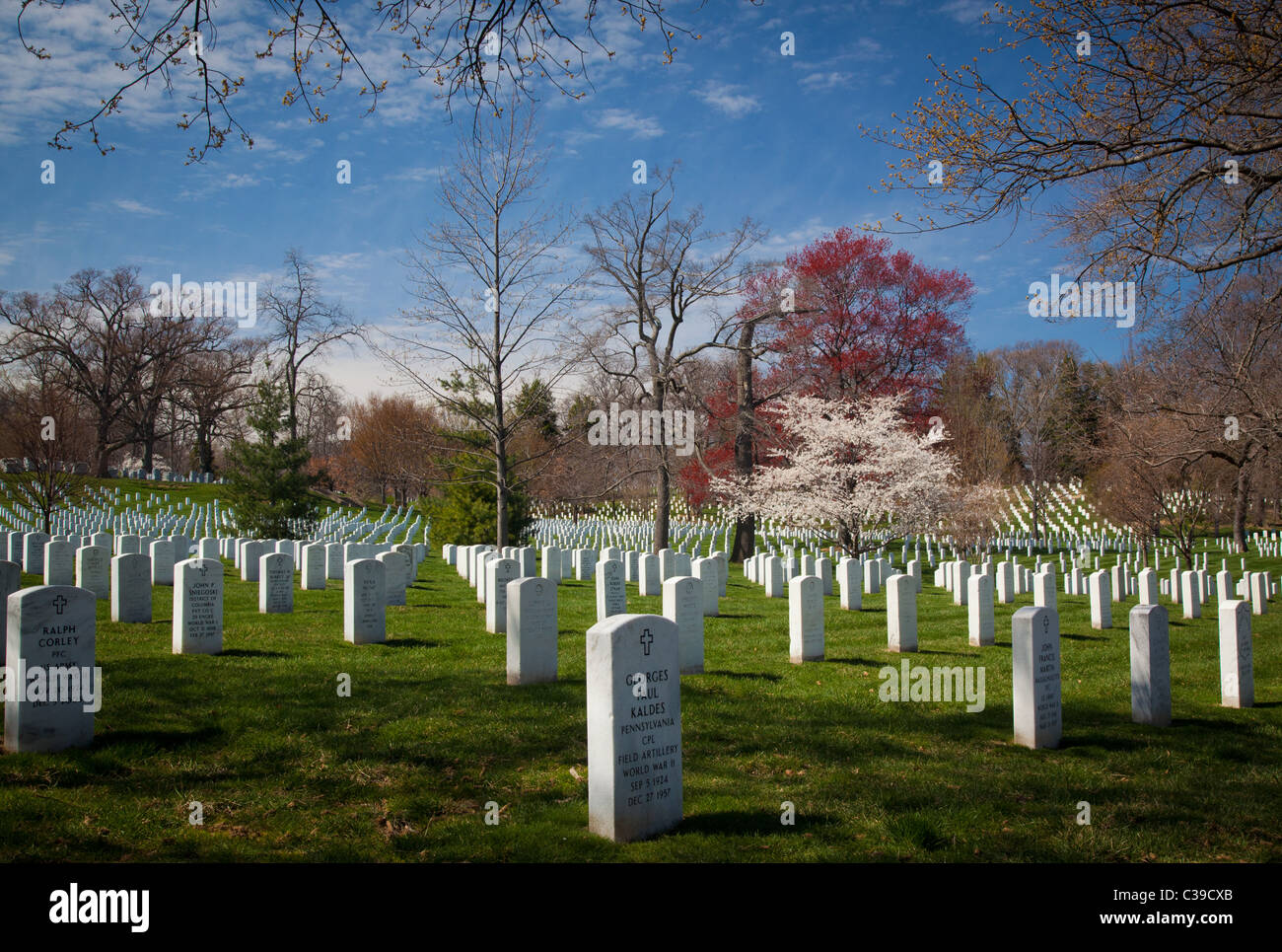 Cemeteries In Arlington Va