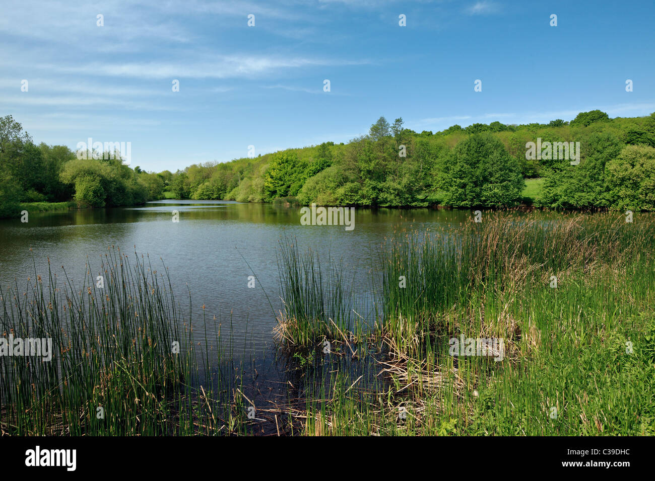 Picturesque lake near Tenterden, Kent. Stock Photo