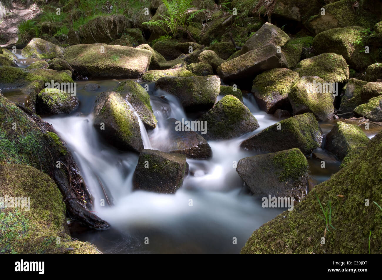 Stream running through Padley Gorge on the Longshaw Estate in the Peak District over Rocks Stock Photo