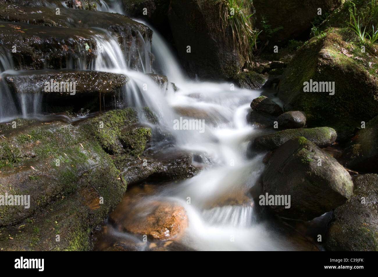Stream running through Padley Gorge on the Longshaw Estate in the Peak District over Rocks Stock Photo