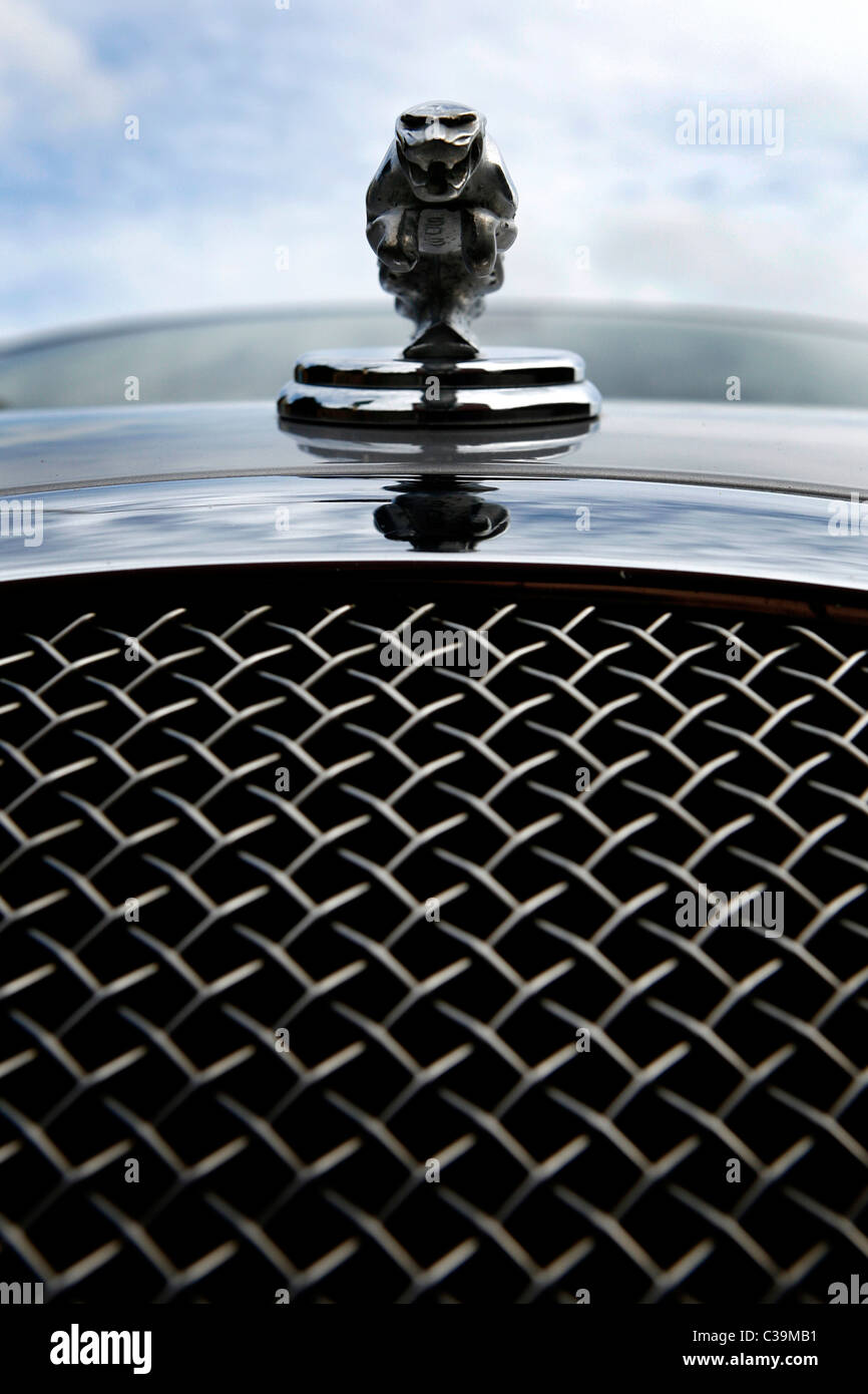 Pictured The Jaguar motor car company emblem Stock Photo Alamy