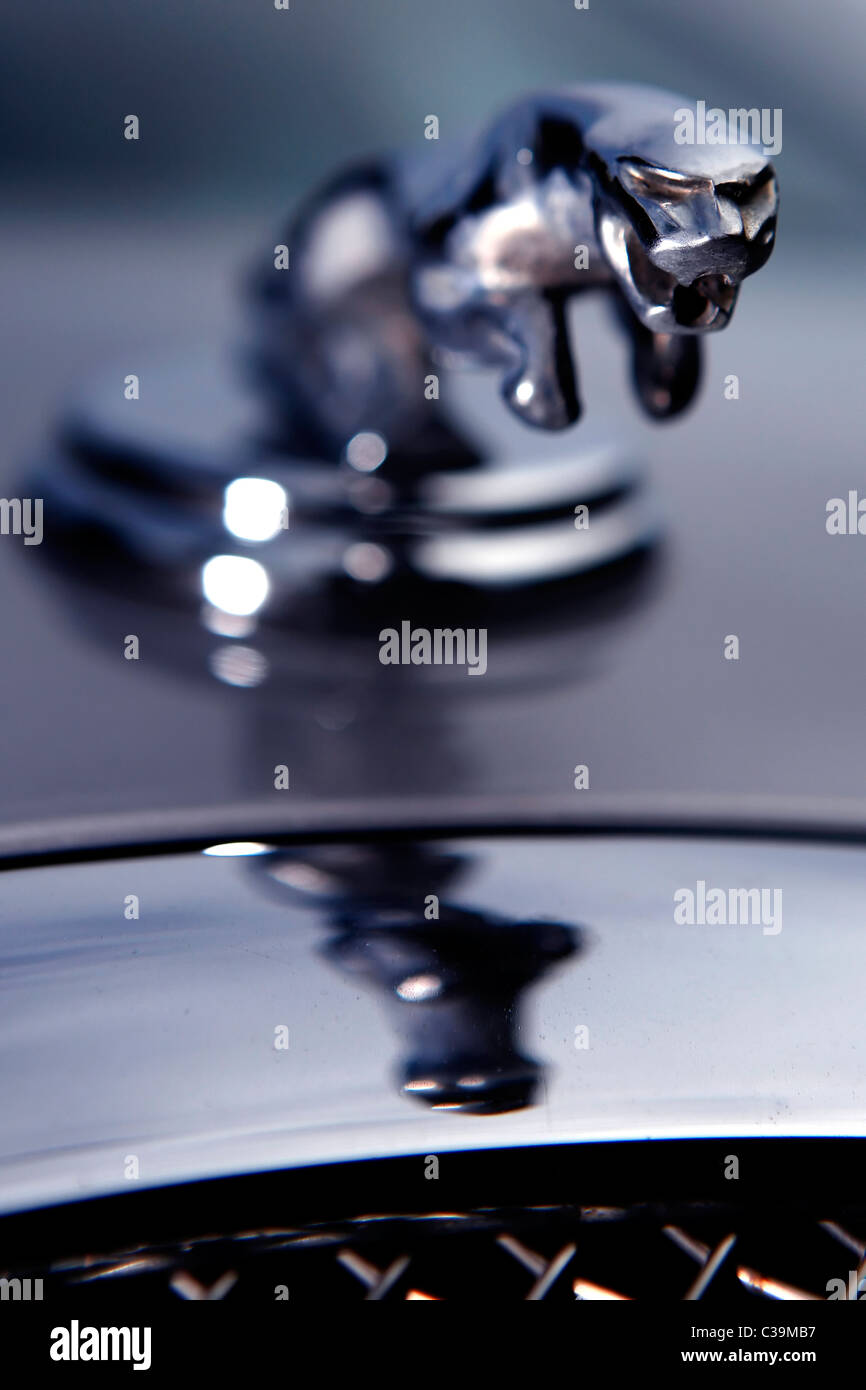 Pictured The Jaguar motor car company emblem Stock Photo Alamy