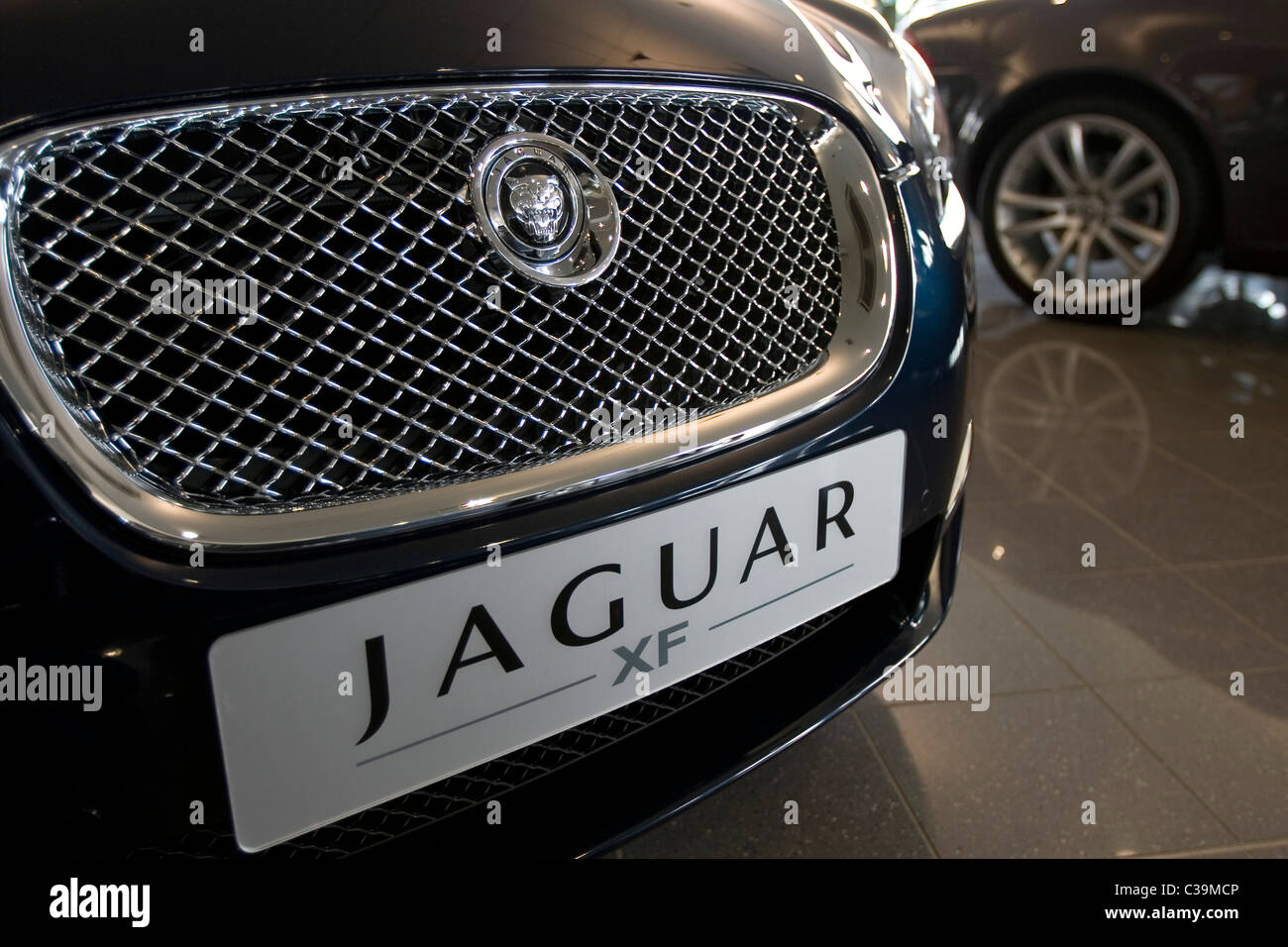 A Jaguar XF inside a dealership showroom in Cambridge Stock Photo Alamy