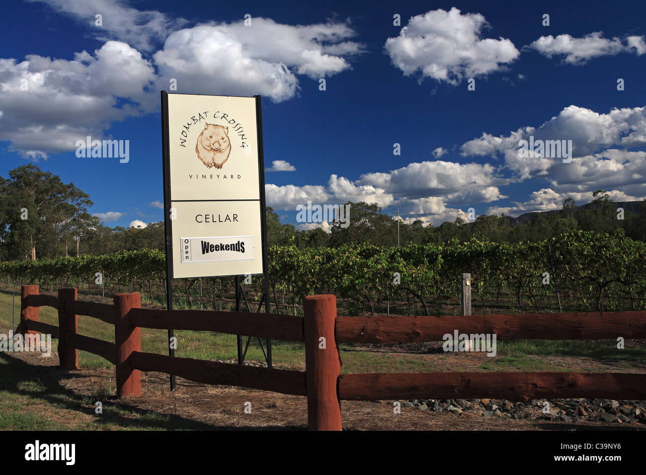 Entrance sign to cellar door and vineyard. Wombat Crossing Vineyard, Pokolbin, Hunter Valley, New South Wales, Australia. Stock Photo