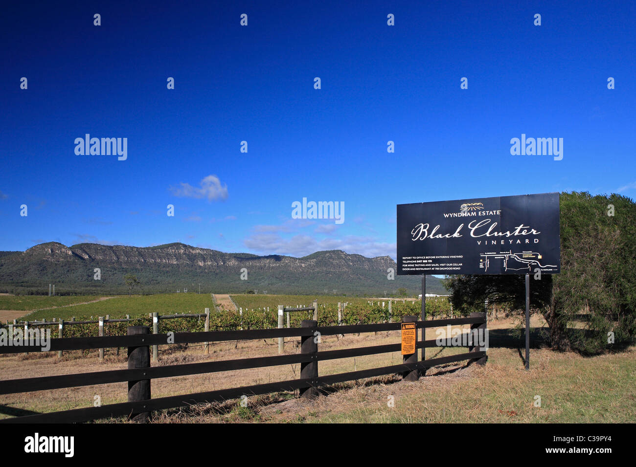 Wyndham estate black cluster vineyard hires stock photography and