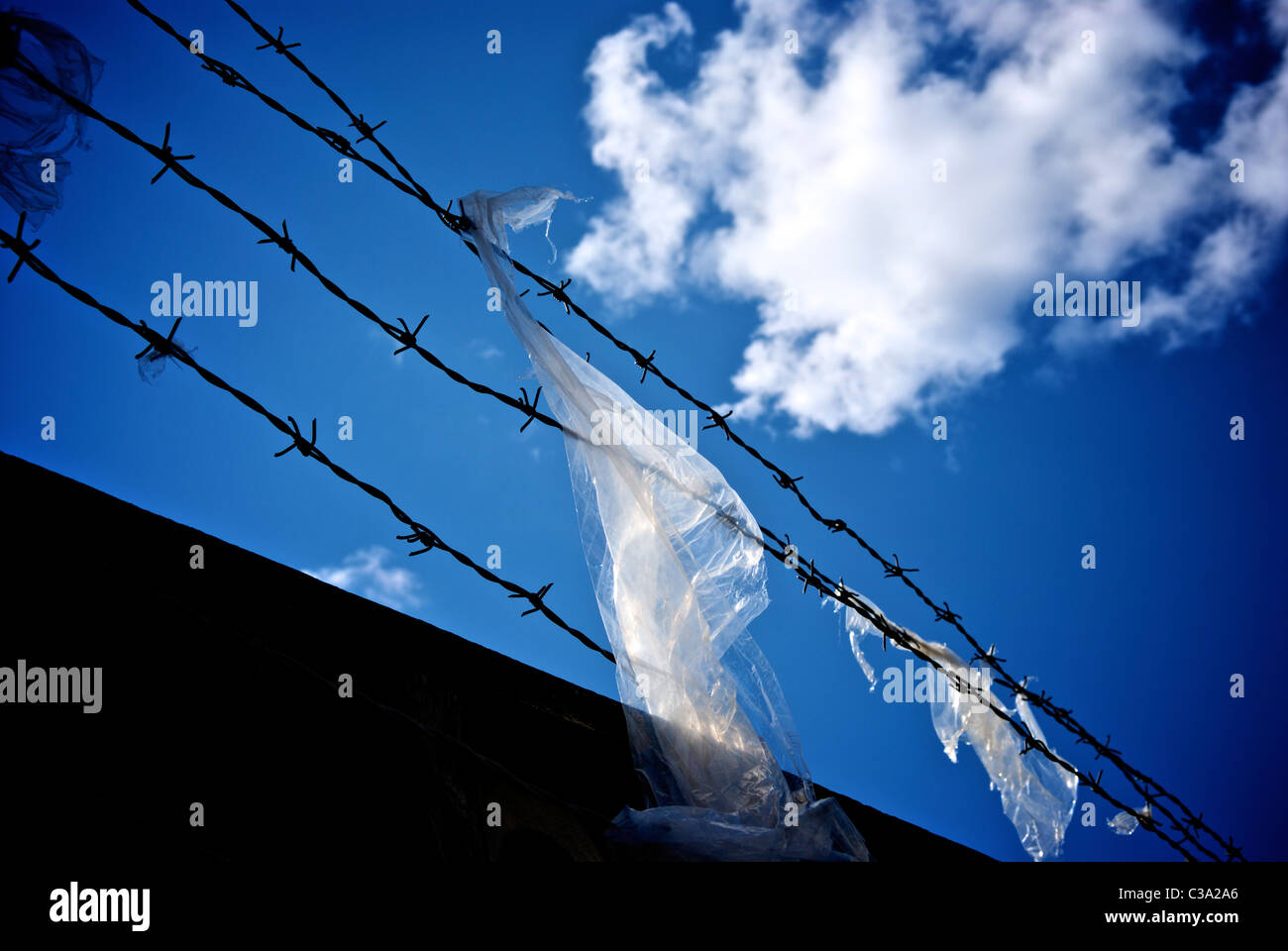 BARBED WIRE Stock Photo