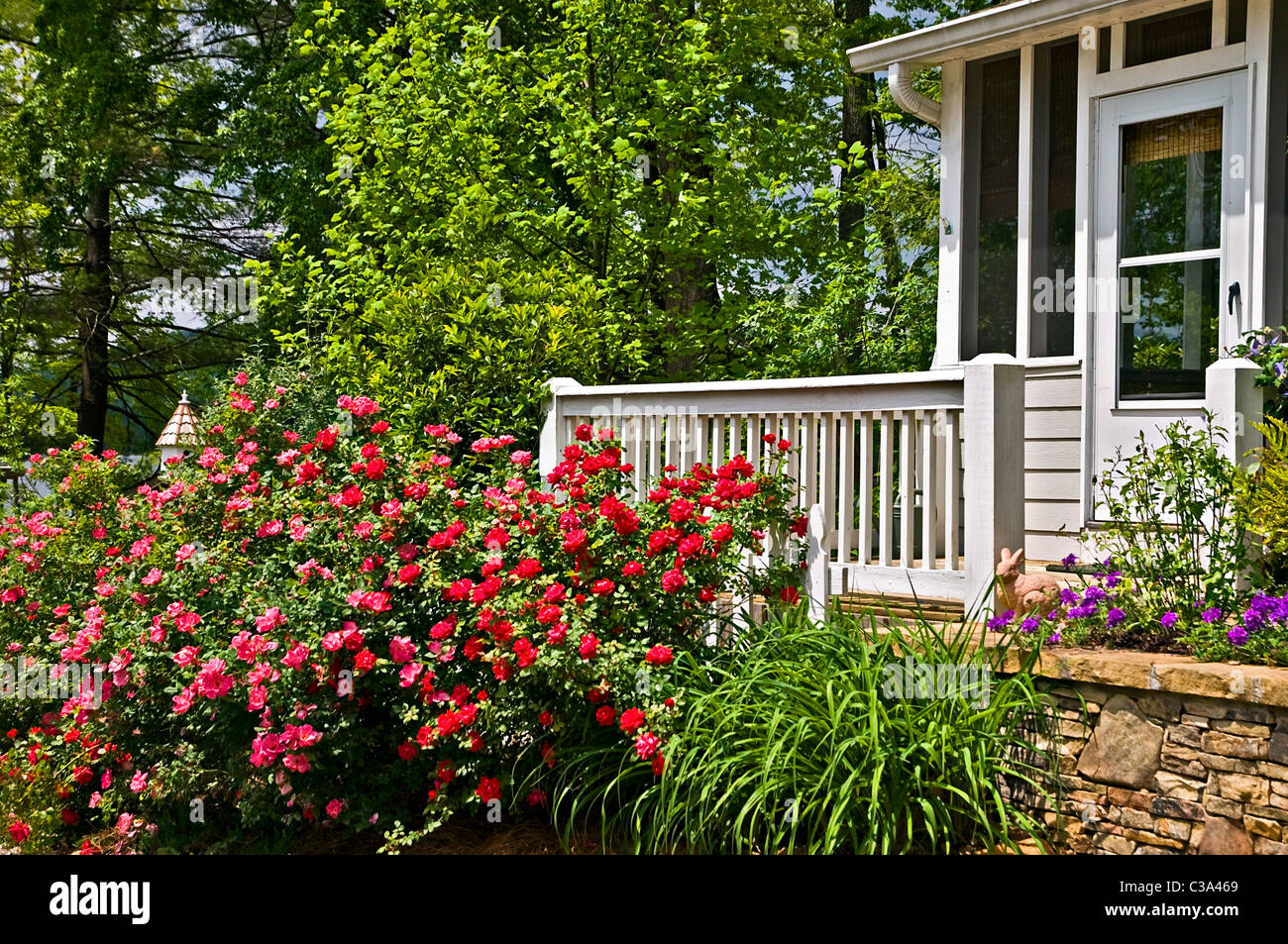 A beautiful floral entrance to the deck and porch of a house. Stock Photo